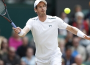 开云体育-穆雷在塞尔维亚队比赛中爆冷，高光表现引发热议！的简单介绍